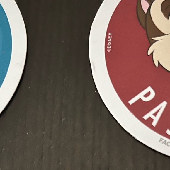 Chip and Dale Annual Passholder Disney Magnets - Picture 3 of 6